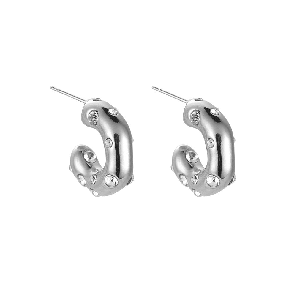 Paslanmaz çelik küpeler Meri Silver