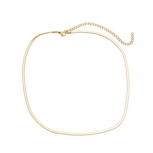 Feine goldfarbene Halskette mit Verlängerungskette und Karabinerverschluss auf weißem Hintergrund