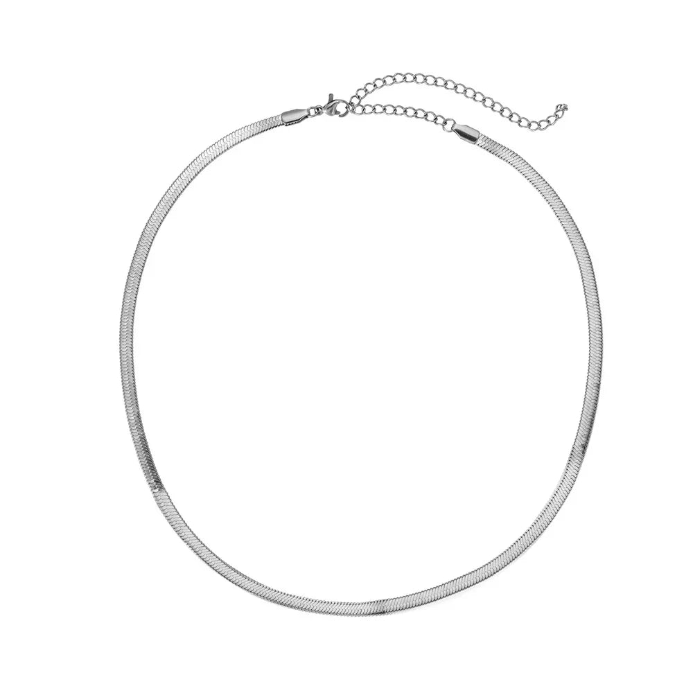 Silberne Schlangenkette Halskette mit Verlängerungskette auf weißem Hintergrund