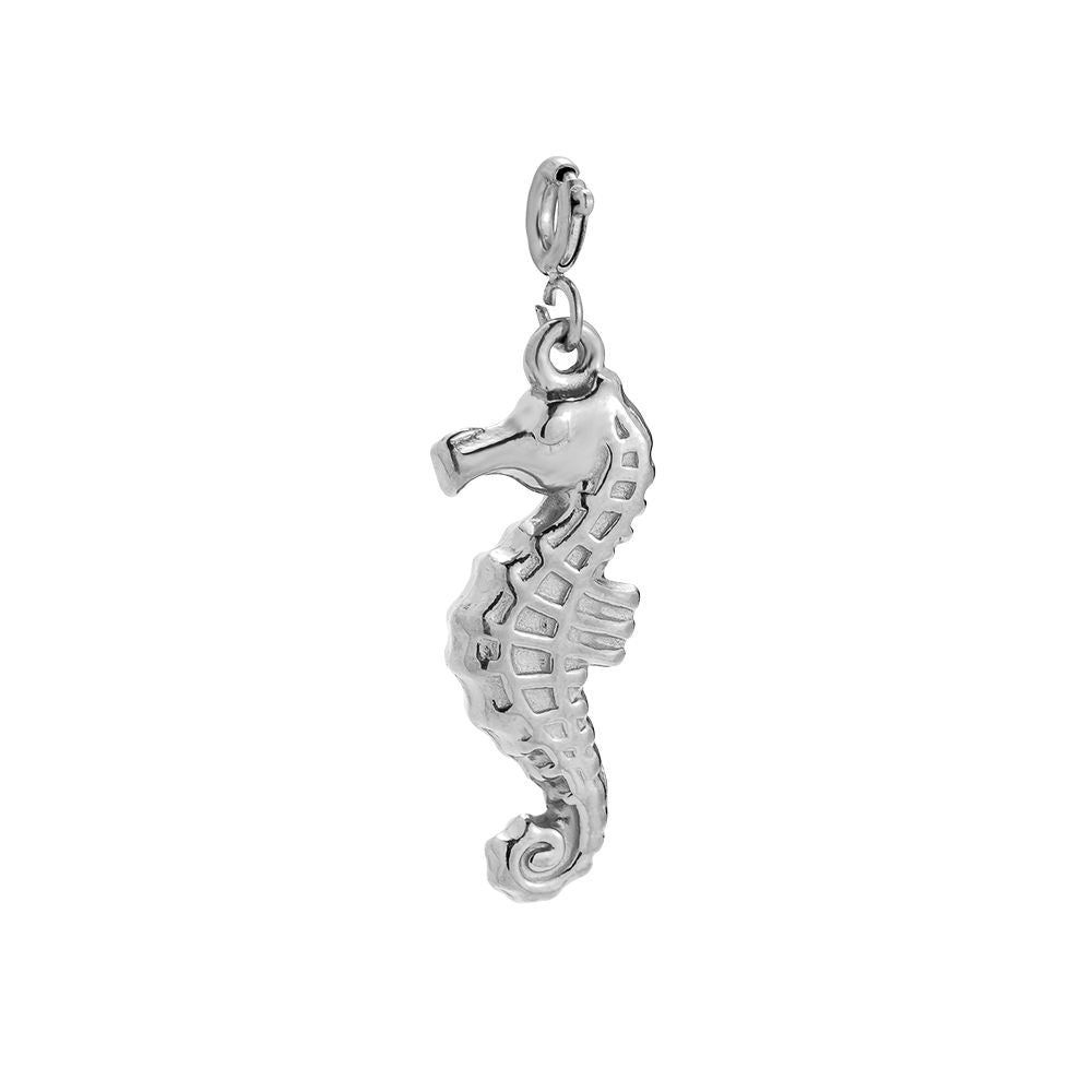 Charm Sea Horse