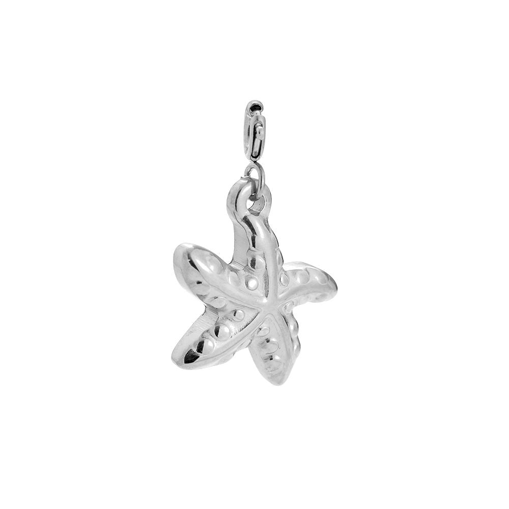 Charm Sea
