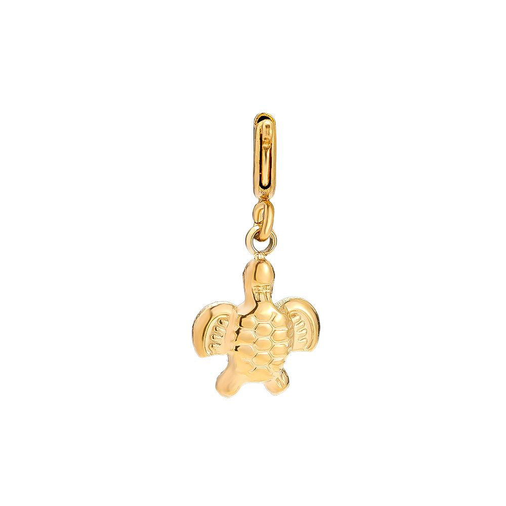 Charm Turtle