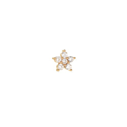 Piercing Star Flower Gold